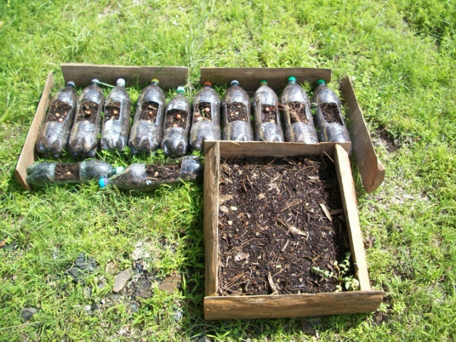 Talleternera ecologicos